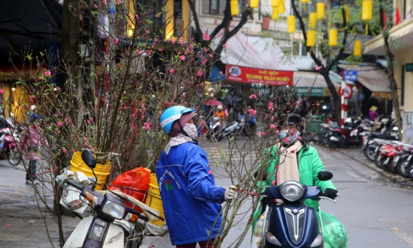 Thú vui chơi đào ngày Rằm tháng Giêng của người dân Hà Nội