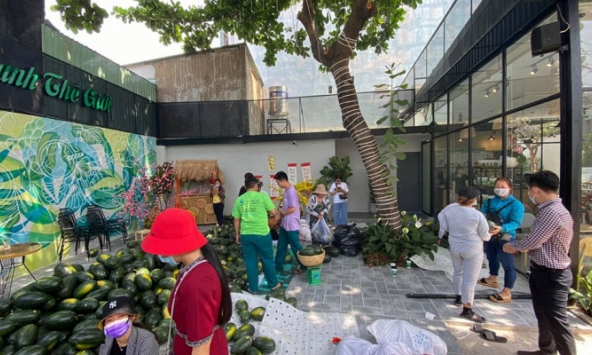 Được 'giải cứu', giá dưa hấu dần ổn định, tăng nhẹ