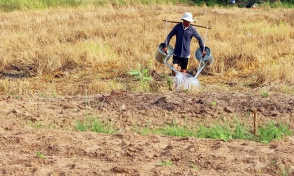Miền Tây, nước mặn như... nước mắt