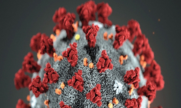 Chiếc vương miện bị chối từ