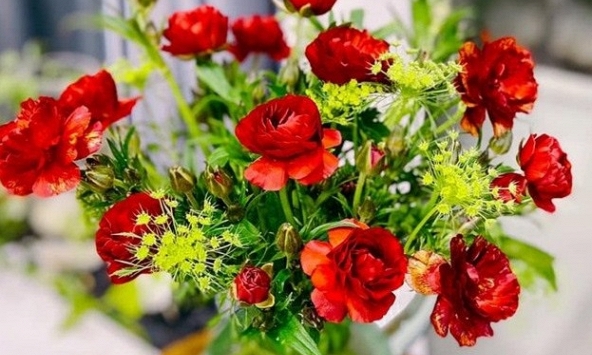 Hoa mao lương rực rỡ dưới bàn tay của chị em chào ngày 8/3