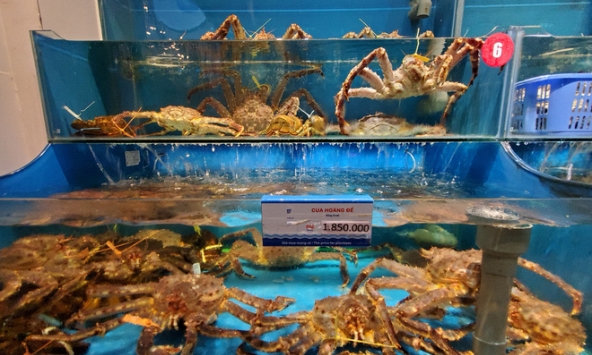 Cua Hoàng đế giảm giá 'sốc'