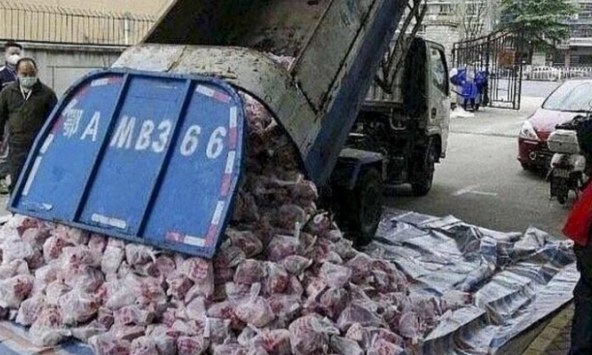 Chính quyền địa phương dùng xe chở rác mang thịt đến cho người dân