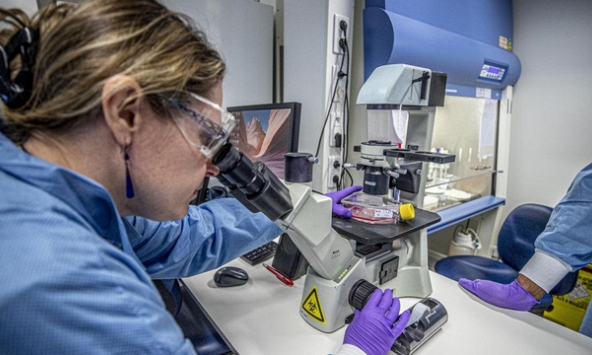 Các nhà khoa học Australia đã xác định được cơ chế hệ miễn dịch của con người chống lại virus Covid-19