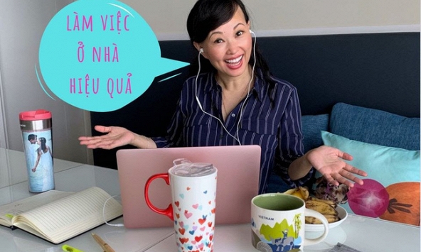 Shark Link gợi ý 5 cách làm việc tại nhà hiệu quả trong mùa dịch Covid-19