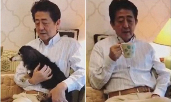 Thủ tướng Nhật bị chỉ trích khi đăng video ở nhà với thú cưng giữa mùa dịch