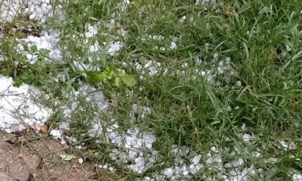 Sơn La: Mưa đá kéo dài 30 phút gây thiệt hại về hoa màu và nhà cửa