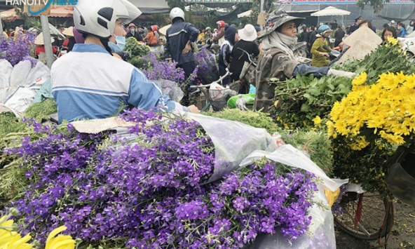 4 trường hợp liên quan chợ hoa Mê Linh đã âm tính