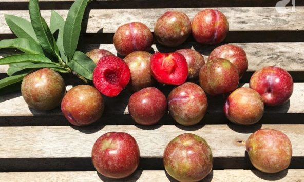 Ngọt mát với mận