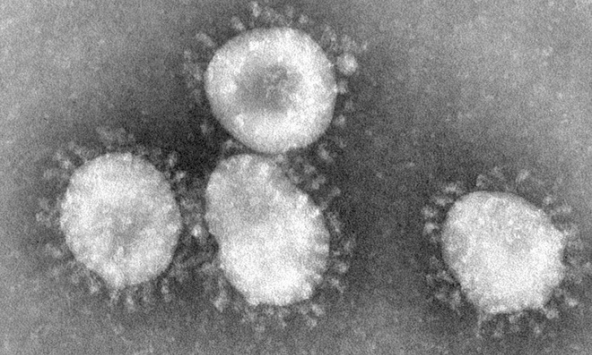Tự ý dùng thuốc làm tăng nguy cơ kháng thuốc, đột biến chủng virus gây Covid-19