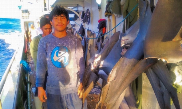 Indonesia đã đề nghị Liên Hợp Quốc vào cuộc vụ tàu Trung Quốc ném xác ngư dân xuống biển