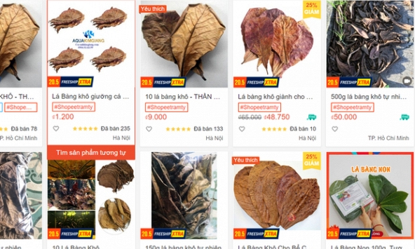 Lá bàng khô bất ngờ được rao bán tràn lan với giá 1.000 đồng/lá