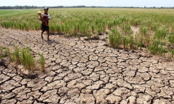 Thủ tướng yêu cầu các tỉnh, thành phố tập trung ứng phó với nắng nóng, hạn hán 