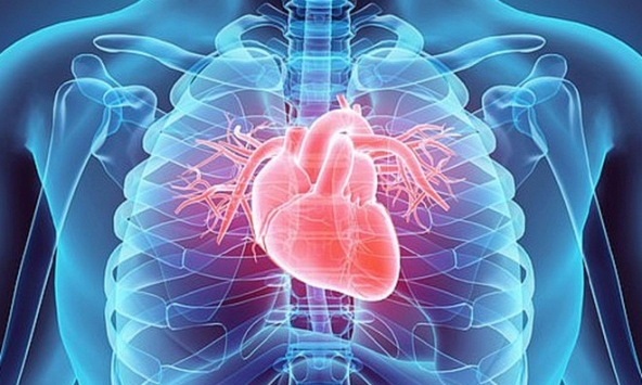 4 thói quen xấu có hại cho sức khỏe tim mạch sau 40 tuổi