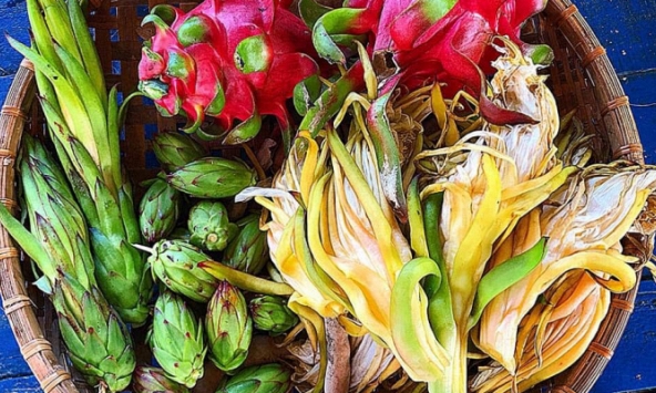 Lạ miệng với món ăn từ hoa thanh long