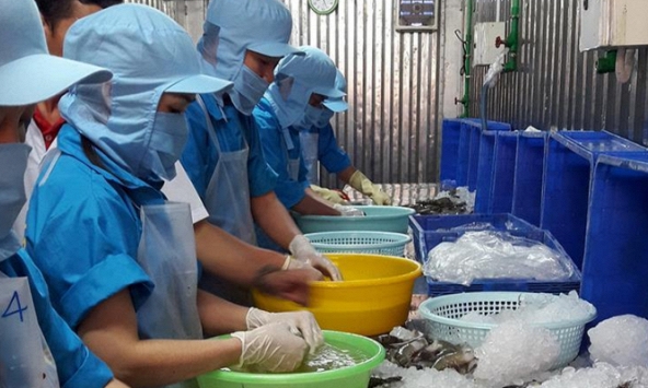 Đại sứ EU tại Việt Nam: EVFTA là cơ hội mà các doanh nghiệp phải giành lấy