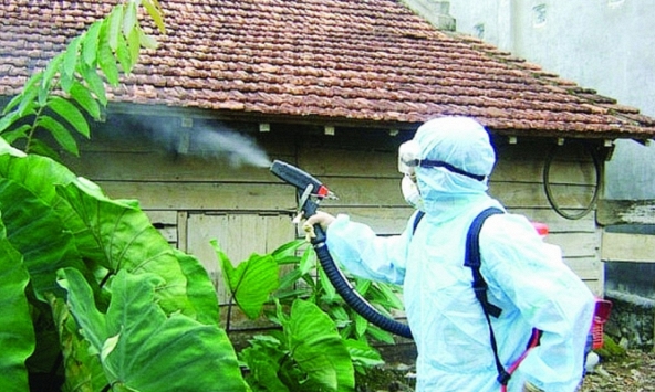 24000 người mắc sốt xuất huyết, cần hết sức đề phòng