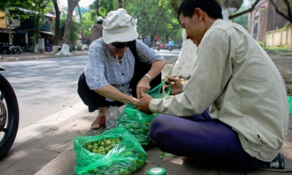 Trèo sấu ở Hà Nội thu nhập hơn trăm triệu mỗi mùa 