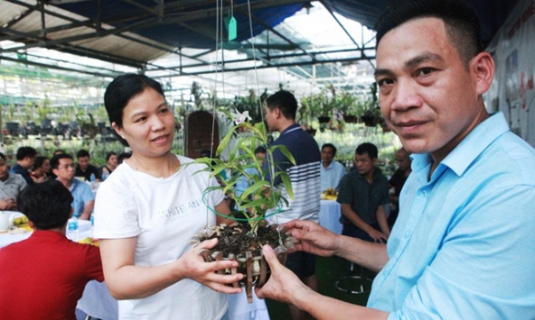 Đại gia Hà Nội chi 5 tỷ đồng mua giỏ lan đột biến