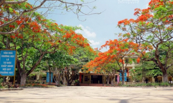 Hà Nội tổng kiểm tra cây xanh trong trường học, bệnh viện, công sở