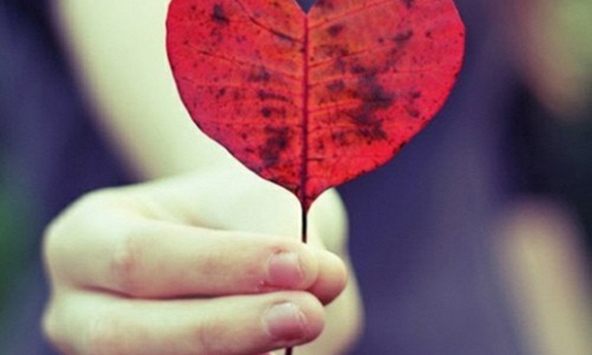 Ta có sẵn tình yêu để cho đi...