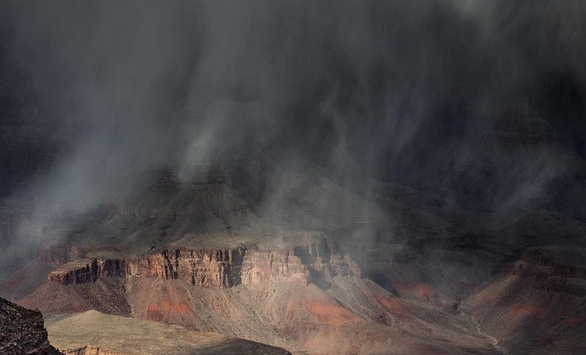 Vi nhựa xuất hiện trong nhiều cơn mưa 