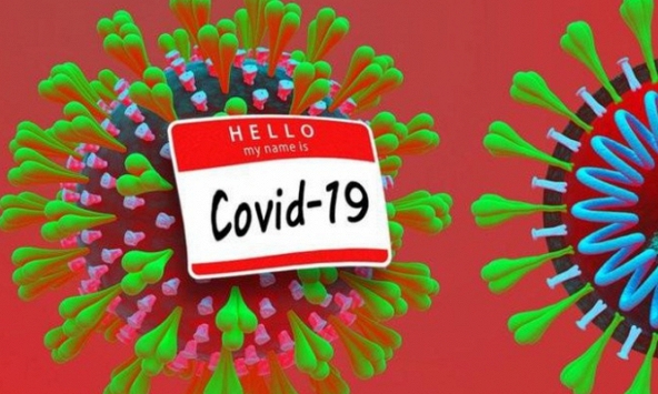 Chỉ có 4% trong 23.000 mẫu nghiên cứu phát triển kháng thể chống lại virus Covid-19