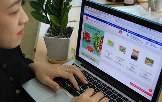 Mua sắm thực phẩm tươi sống online ngày càng rầm rộ