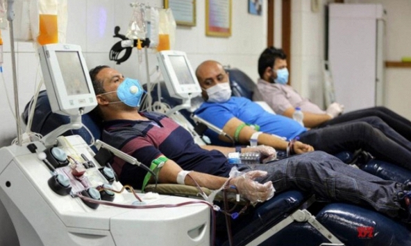 Huyết tương từ bệnh nhân COVID-19 đã hồi phục được săn đón 