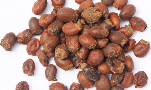 Thầy thuốc cảnh báo không nên tự ý dùng hạt vải chữa bệnh