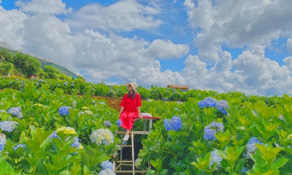 Những điều không nên bỏ lỡ khi đi du lịch Đà Lạt