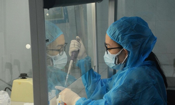 WHO: Virus corona ở Đà Nẵng tương tự SARS-CoV-2 gây bệnh COVID-19 lây lan ở các quốc gia khác vào tháng 7