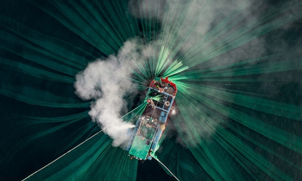 Bức ảnh chài lưới ở Việt Nam lot top International Photography Awards