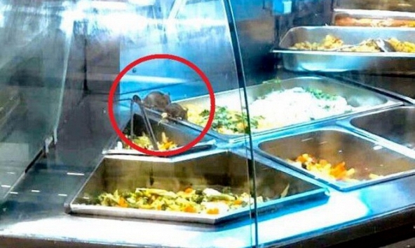 Aeon Việt Nam lên tiếng xin lỗi vụ việc chuột bò trên khay thức ăn