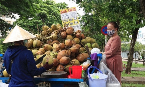 Thu nhập  3,5 - 5 triệu đồng/ngày nhờ vào bán dừa dạo