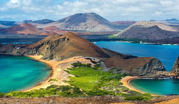 Ecuador phát hiện 30 loài động vật không xương sống mới ở Galápagos