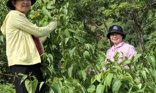 Các hoạt động chính của Hội Nữ trí thức Việt Nam trong tháng 7- 8/2020