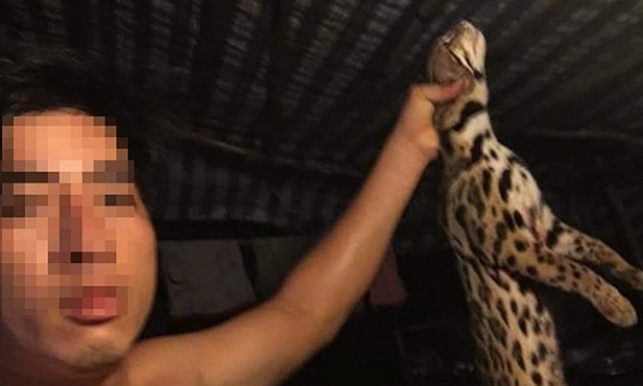 Dân quân xã giết mèo rừng và đăng lên Facebook gây phẫn nộ