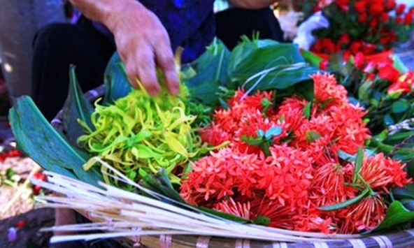 Hoa hoàng lan có giá đắt đỏ 1,5 triệu/kg vẫn cháy hàng