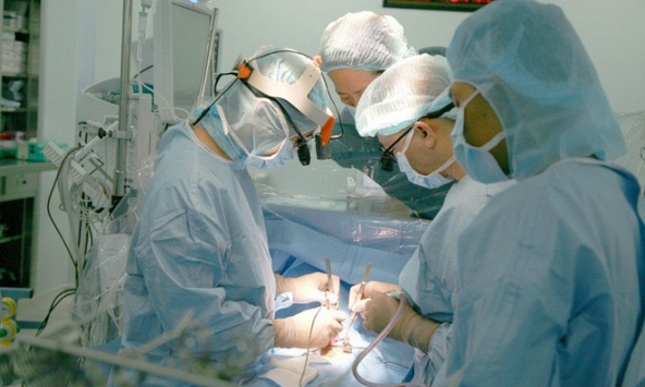 Vingroup khẳng định không có kế hoạch bán Vinmec và Vinschool