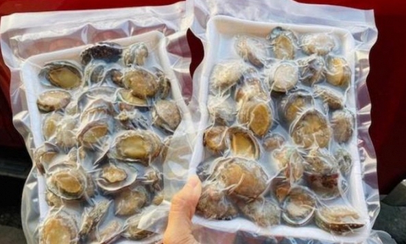 Tràn lan bào ngư Hàn Quốc giá rẻ 15.000 đồng/con, liệu có đáng tin?