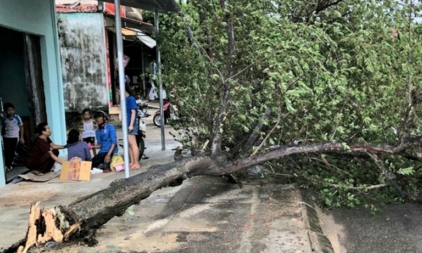 Bão số 5 làm 2 người thiệt mạng và 31 người bị thương