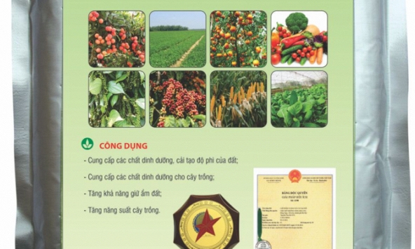 Chế phẩm vi sinh vật cải tạo đất của TS Nguyễn Thu Hà: Giải pháp hữu hiệu cho đất bạc màu