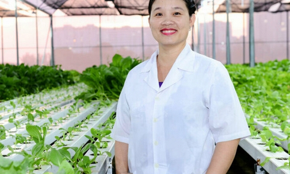 Nữ tiến sĩ đam mê hạt lúa