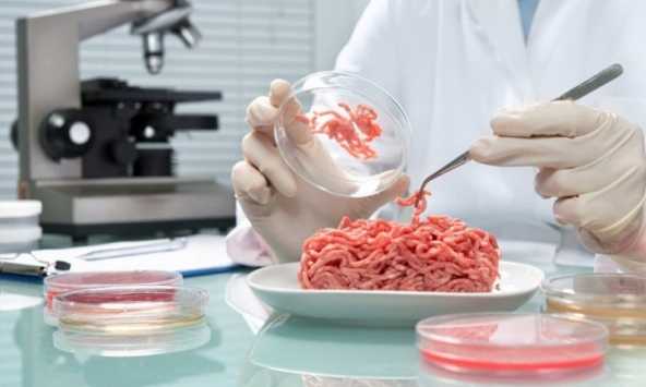 Thịt tôm nhân tạo với mức giá không tưởng 5.000 USD/1kg