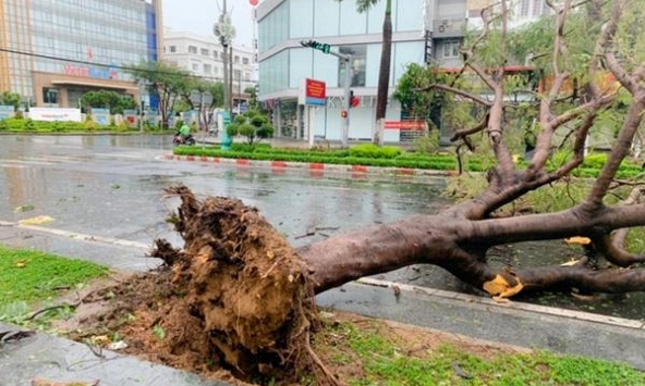 Bão số 9: Hai người chết, 5 người bị thương ở Quảng Ngãi