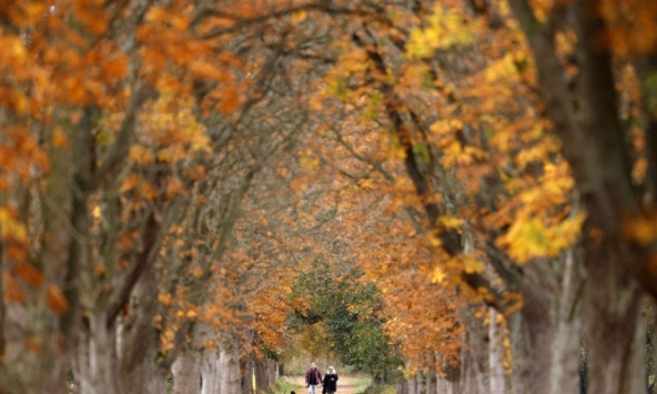 Khung cảnh mùa thu trên khắp thế giới