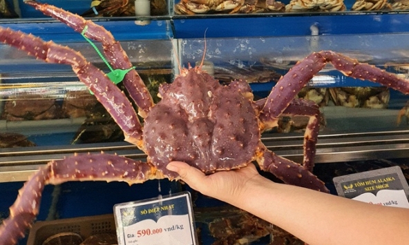 Cua hoàng đế giảm giá còn 780.000 đồng/kg liệu chất lượng ra sao?