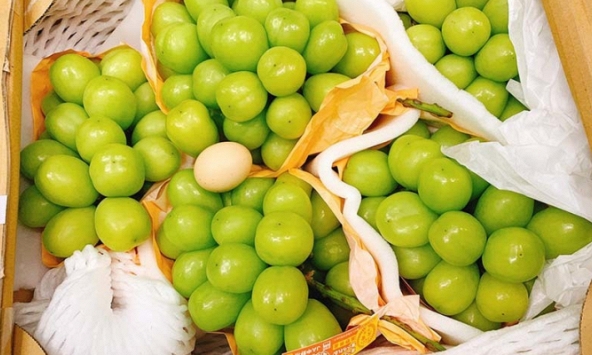 Nho Nhật Bản siêu vip to gấp rưỡi quả trứng gà giá 7 triệu/chùm gây sốt trên thị trường