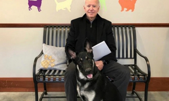 Ông Joe Biden bị trật mắt cá trong lúc chơi đùa với chú chó cưng